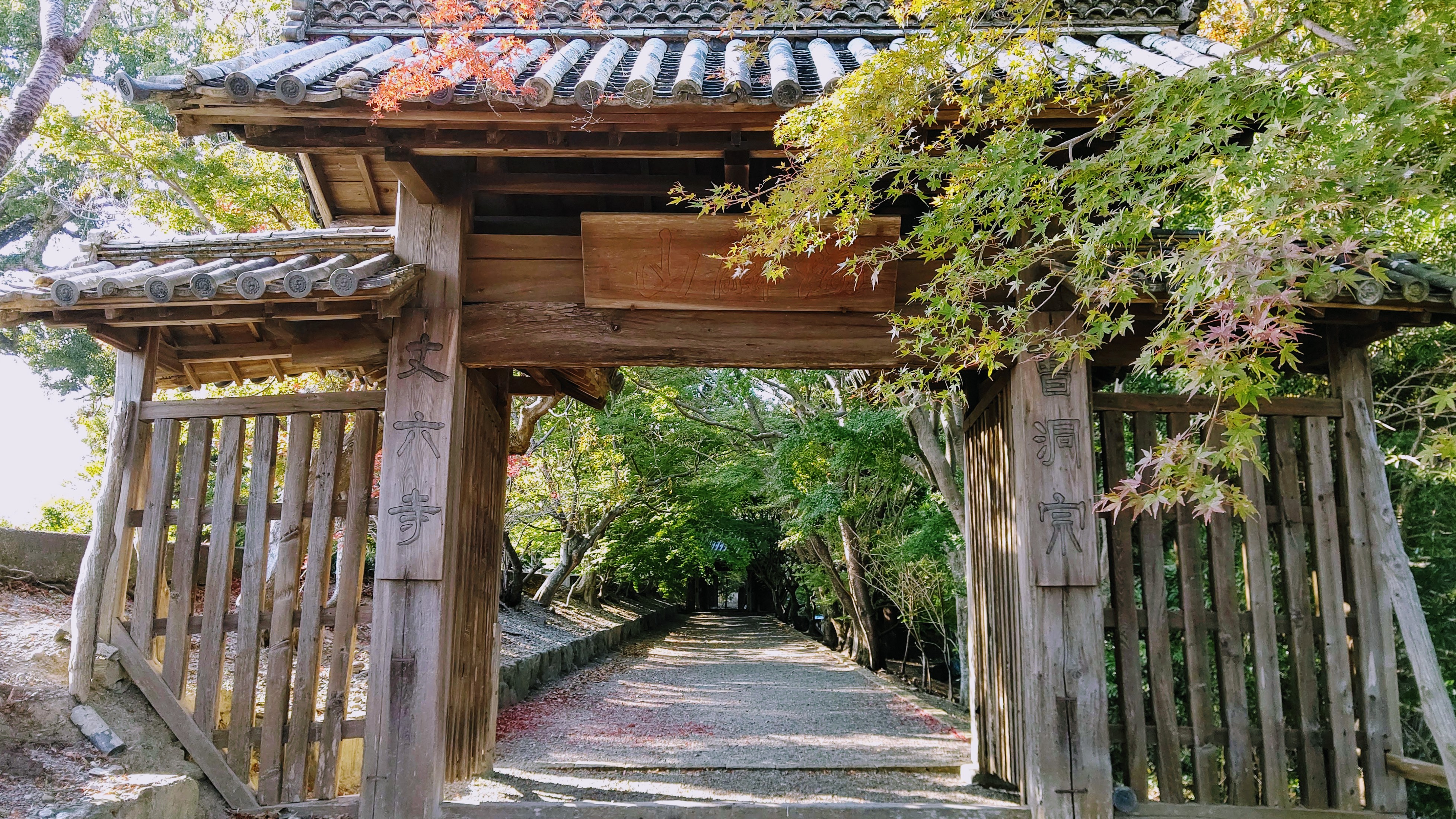 徳島県徳島市｜紅葉の名所としても有名！丈六寺は重要文化財だらけの「阿波の法隆寺」