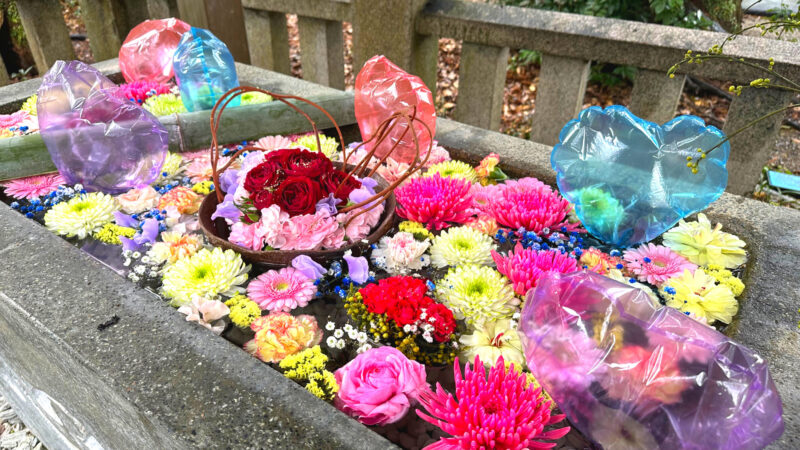 立江八幡神社の花手水