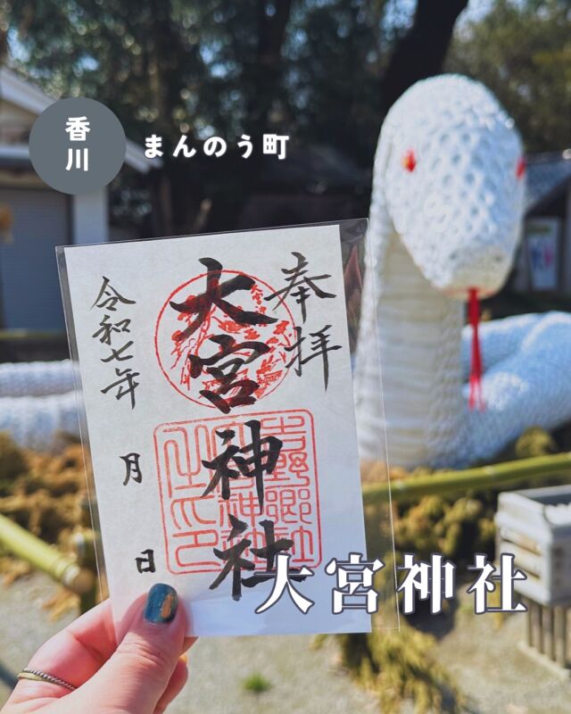 【香川県まんのう町】大宮神社の御朱印
📷2025/04/04
まんのう町の大宮神社へ行ってきました🙋‍♀️
延喜5年（905年）に創建されたと伝わる歴史ある神社で、倭姫命がお祀りされています
▶︎pic3 毎年境内に現れる干支の巨大オブジェが話題です
氏子さんたちの力作で、今年の白蛇は全長20メートルほどあるとか…しゅごい😳
※干支オブジェが飾られるのは4月頃までだそうで、今はもうないかもしれません💦
▶︎pic4 大宮神社では境内社・兼務社など6社の御朱印がいただけます（⚠️書き置きのみ）
兼務社は時間の都合で参拝できなかったので、後日改めて参拝してからご紹介します🙇‍♀️💦
▶︎pic5、6 大宮毘沙門天社は境内にあります
▶︎pic7〜　境内の様子
︎⬜︎⬜︎⬜︎⬜︎⬜︎⬜︎⬜︎
📍大宮神社
〒766-0023
香川県仲多度郡まんのう町吉野832-5
🚗駐車場あり、無料
⏰参拝24時間🆗
💴御朱印初穂料:500円
⬜︎⬜︎⬜︎⬜︎⬜︎⬜︎⬜︎⬜︎⬜︎⬜︎
#大宮神社 #香川御朱印 #香川御朱印巡り #四国御朱印 #香川神社 #香川 #香川県 #うどん県 #御朱印スタグラム #御朱印ガール
