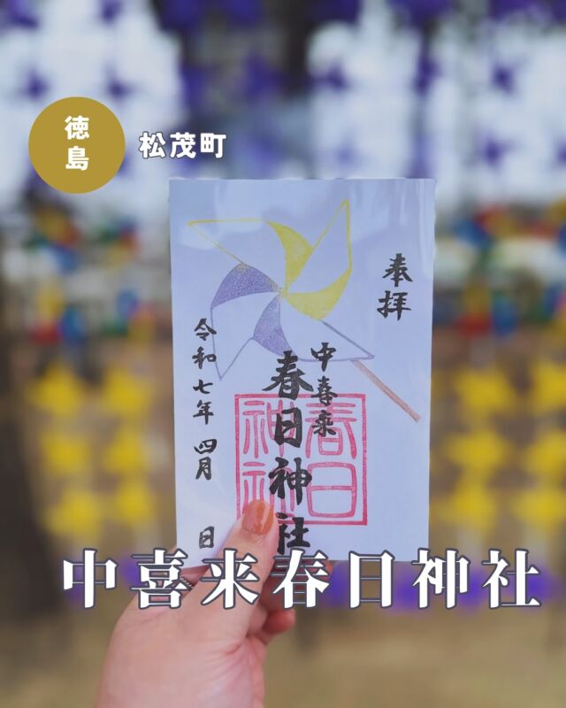 【徳島県松茂町】中喜来春日神社の御朱印
📷2025/04/08
4月も終わりですが、中喜来春日神社さんの月替わり御朱印💁‍♀️
今まで中喜来春日神社さんの御朱印は通常御朱印と春夏秋冬の季節の御朱印がありましたが、2025年4月から月替わり御朱印がスタートしました✨
記念すべき第一弾は境内に飾られているかわいい風ぐるまがモチーフです😊
▶︎後半はたぶん投稿してなかった冬詣の御朱印、２月と３月でデザインが違いました
誕生日だったので３月のお誕生日ご紹介も拝受しました☺️
４月からはデザインがお花から誕生日ケーキに変わっていて、季節でフルーツが変わるそうです🤭
︎⬜︎⬜︎⬜︎⬜︎⬜︎⬜︎⬜︎⬜︎⬜︎
📍中喜来春日神社
〒771-0212
徳島県板野郡松茂町中喜来牛飼野西ノ越30
🚗駐車場なし（境内参道などに駐車可能）
⏰9:00〜17:00　
※御朱印の直書き対応日程は公式インスタをチェック
💴御朱印初穂料
通常サイズ:300円
見開きサイズ:500円
⬜︎⬜︎⬜︎⬜︎⬜︎⬜︎⬜︎⬜︎⬜︎⬜︎
#春日神社 #中喜来春日神社 #徳島神社 #徳島神社巡り #四国神社 #徳島御朱印 #四国御朱印 #かわいい神社 #御朱印スタグラム #御朱印ガール #徳島 #徳島県 #松茂 #松茂町 #誕生日御朱印