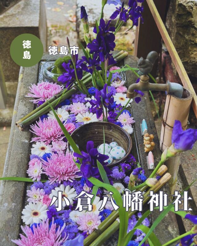 【徳島県徳島市】小倉八幡神社の花手水💐
📷️2025/05/02
小倉八幡神社の新しい花手水を見に行ってきました🙋‍♀️
5月らしく菖蒲をメインに紫のお花が華やかです✨
境内も子供の日仕様で素敵でした🎏
新しいリスのオブジェも増えてました
pic3 花手水の中にもひそかにリスがいますよ🤭
︎⬜︎⬜︎⬜︎⬜︎⬜︎⬜︎⬜︎⬜︎⬜︎⬜︎
📍小倉八幡神社
〒771-4266
徳島県徳島市八多町小倉1
🚗駐車場あり、無料
⏰参拝24時間🆗
⬜︎⬜︎⬜︎⬜︎⬜︎⬜︎⬜︎⬜︎⬜︎⬜︎
#小倉八幡神社 #徳島神社 #四国 #徳島県 #徳島市 #徳島 #徳島神社 #徳島花手水