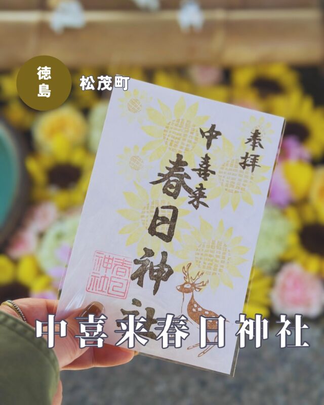 【徳島県松茂町】中喜来春日神社の御朱印
📷2025/05/13
中喜来春日神社さんの夏の御朱印と月替わり御朱印💁‍♀️
中喜来春日神社さんは通常御朱印のほか、春夏秋冬の季節の御朱印と2025年4月からスタートした月替わり御朱印があります
▶︎pic1・2 季節の御朱印は5月5日から「夏」に変わり、夏の花といえば！なヒマワリのかわいらしいデザイン🌻
📅夏の御朱印の頒布期間:8月7日の立秋まで
▶︎pic3 月替わり御朱印は5月らしい鯉のぼりです🎏
▶︎pic4〜6 参拝時点ではかわいいヒマワリの花手水がみられました😆
▶︎pic7 拝殿には何やら撮影中の猫ちゃん軍団がいました🤭春日神社さんは手水舎にもガチャガチャのかわいい猫ちゃんがいっぱいいて、参拝するたびに増えてるので密かな楽しみです☺️
︎⬜︎⬜︎⬜︎⬜︎⬜︎⬜︎⬜︎⬜︎⬜︎
📍中喜来春日神社
〒771-0212
徳島県板野郡松茂町中喜来牛飼野西ノ越30
🚗駐車場なし（境内参道などに駐車可能）
⏰9:00〜17:00　
※御朱印の直書き対応日程は公式インスタをチェック
💴御朱印初穂料:300円
⬜︎⬜︎⬜︎⬜︎⬜︎⬜︎⬜︎⬜︎⬜︎⬜︎
#春日神社 #中喜来春日神社 #徳島神社 #徳島神社巡り #四国神社 #徳島御朱印 #四国御朱印 #かわいい神社 #御朱印スタグラム #御朱印ガール #徳島 #徳島県 #松茂 #松茂町 #季節の御朱印 #徳島花手水