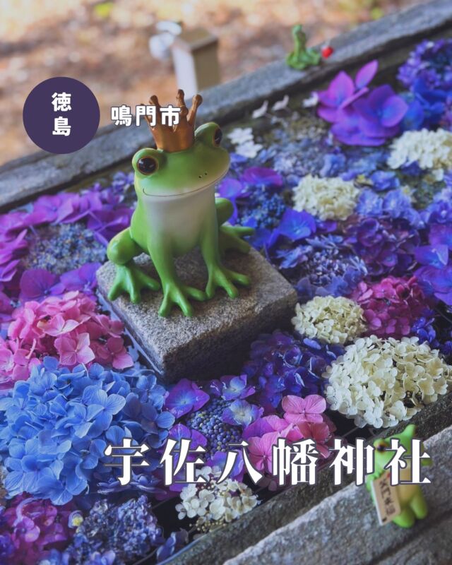 【徳島県鳴門市】宇佐八幡神社の花手水💐
📷2025/06/20
宇佐八幡神社の紫陽花の花手水✨
設置2日後くらいに見に行ってきましたが、気温が高いので傷むのが早そうです💦
カエルちゃんものすごい増殖してました😂
︎⬜︎⬜︎⬜︎⬜︎⬜︎⬜︎⬜︎⬜︎⬜︎⬜︎
📍宇佐八幡神社
〒772-0001
徳島県鳴門市撫養町黒崎八幡130
🚗駐車場あり、無料
⏰24時間🆗
⬜︎⬜︎⬜︎⬜︎⬜︎⬜︎⬜︎⬜︎⬜︎⬜︎
#宇佐八幡神社 #徳島神社 #徳島御朱印 #四国神社 #徳島 #徳島県 #鳴門市 #花手水 #徳島花手水 #紫陽花花手水