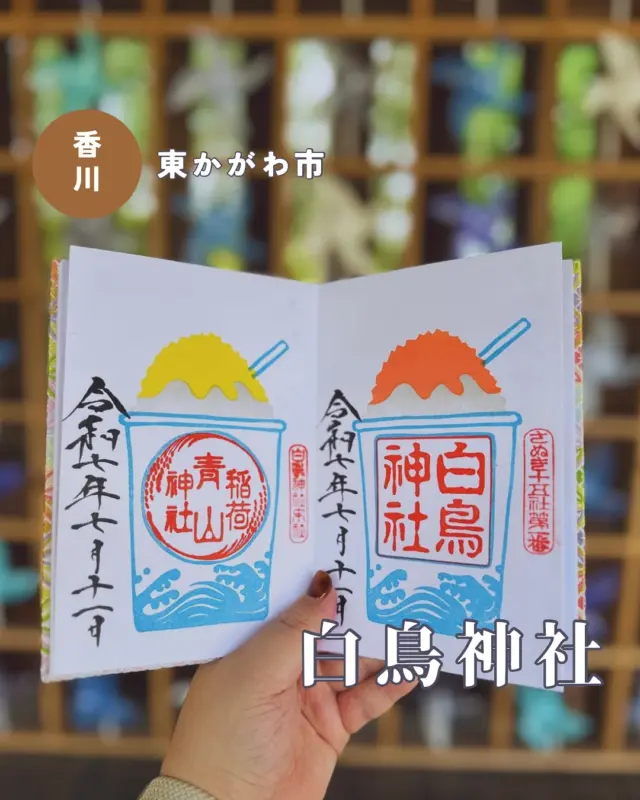 【香川県東かがわ市松原】白鳥神社の御朱印🆕
📷️2025/07/11
白鳥神社で夏越祭の特別御朱印をいただきました🙋‍♀️
夏祭りっぽさ満載なかき氷のデザインで、今年は8色展開です
マンゴー味（オレンジ）とレモン味（イエロー）にしました
📅夏越祭の特別御朱印:8月18日まで
今回はフォロワー限定カラーあります🌈
合言葉は白鳥神社さんの投稿でチェックしてください🙆‍♀️
▶︎かざぐるま回廊は「青のかざぐるま回廊」として、さわやかなブルーに模様替え✨
参道の風鈴もグラデーションが美しいブルーです🎐
東讃エリアで開催される瀬戸芸夏会期ももうすぐですね
︎⬜︎⬜︎⬜︎⬜︎⬜︎⬜︎⬜︎⬜︎⬜︎⬜︎
📍白鳥神社
〒769-2702
香川県東かがわ市松原69
🚗駐車場あり、無料
⏰8:30〜17:00
💴初穂料:500円
⬜︎⬜︎⬜︎⬜︎⬜︎⬜︎⬜︎⬜︎⬜︎⬜︎
#白鳥神社 #さぬき十五社 #かわいい御朱印 #香川御朱印 #四国御朱印 #御朱印ガール #御朱印おばさん #御朱印スタグラム #四国 #四国観光 #香川県 #香川 #東かがわ市 #うどん県 #かざぐるま #風ぐるま