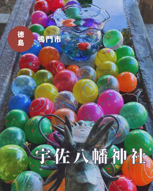 【徳島県鳴門市】宇佐八幡神社の華手水
📷2025/07/28・8/05
宇佐八幡神社の夏の風物詩、ヨーヨーの華手水を見に🙋‍♀️
涼しげなヨーヨーは1人ひとつ持ち帰り🆗です
📅夏詣奉祝華手水:8月24日まで
参拝のタイミングによってはヨーヨー少ないときもあります💦
▶︎投稿しそびれていた御朱印も添えて💁‍♀️
今年の月替わり御朱印は星座シリーズで、6月は双子座、7月は蟹座です
8月は獅子座なので、獅子狛犬を背景に🦁
︎⬜︎⬜︎⬜︎⬜︎⬜︎⬜︎⬜︎⬜︎⬜︎⬜︎
📍宇佐八幡神社
〒772-0001
徳島県鳴門市撫養町黒崎八幡130
🚗駐車場あり、無料
⏰24時間🆗
⬜︎⬜︎⬜︎⬜︎⬜︎⬜︎⬜︎⬜︎⬜︎⬜︎
#宇佐八幡神社 #徳島神社 #花手水 #徳島花手水