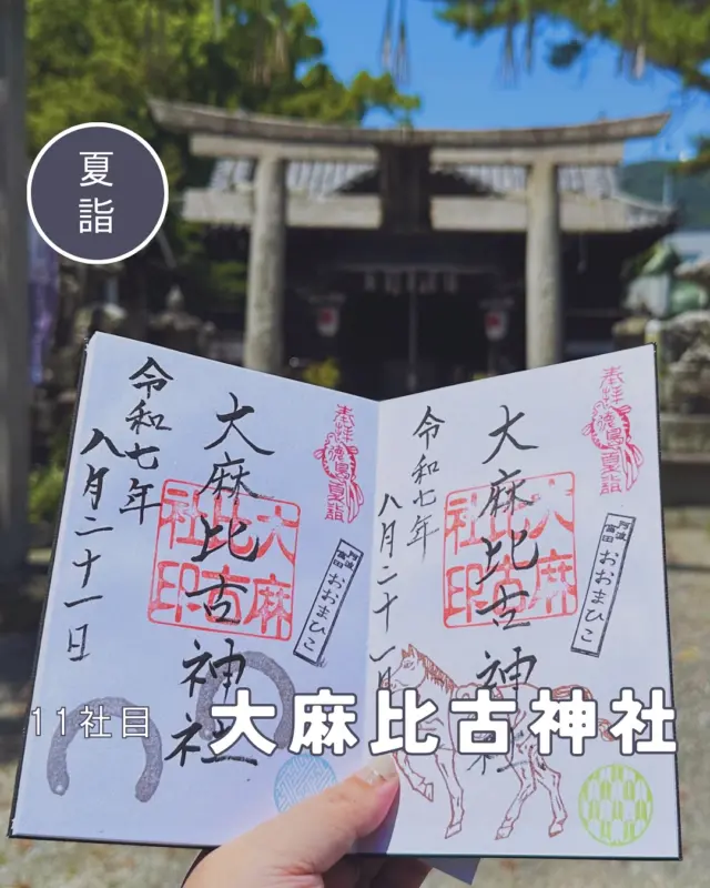 【徳島夏詣御朱印めぐり】11社目➡️大麻比古（おおまひこ）神社
毎年7月から8月にかけて、徳島県内の神社で構成される「徳島夏詣御朱印めぐり」が開催されています🙋‍♀️
冬詣に引き続き、2社増えて14社をめぐります
11社目は大麻比古神社へ
7月と8月でデザインが違い、2種類いただきました
7月は馬の蹄を保護する蹄鉄、8月は神馬さんに似たお馬さんです🐎
▶︎今回で5回目の節目なので今までの夏詣御朱印も添えて💁‍♀️
馬のモチーフが少しずつ変わってますね🐎
▶︎pic5〜　境内の様子
大麻比古神社も狛犬いっぱいです🐕
︎⬜︎⬜︎⬜︎⬜︎⬜︎⬜︎⬜︎⬜︎⬜︎⬜︎
📍大麻比古（おおまひこ）神社
〒770-0938
徳島県徳島市明神町6丁目2
🚗駐車場あり、無料
⏰9:00〜17:00くらい？🤔
💴御朱印初穂料:300円
⚠️同じ字ですが、こちらは阿波一の宮の大麻比古神社とは別の神社です⚠️
︎⬜︎⬜︎⬜︎⬜︎⬜︎⬜︎⬜︎⬜︎⬜︎⬜︎
#徳島夏詣 #徳島夏詣御朱印めぐり